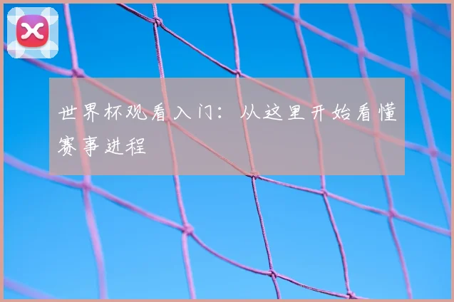 世界杯观看入门：从这里开始看懂赛事进程