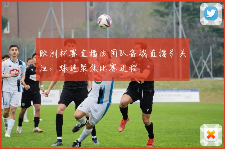 欧洲杯赛直播法国队备战直播引关注，球迷聚焦比赛进程