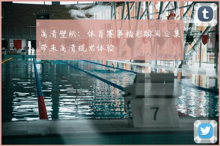 高清壁纸:体育赛事精彩瞬间合集带来高清视觉体验
