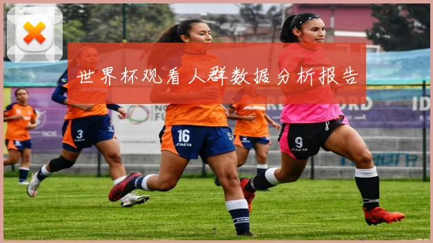 世界杯观看人群数据分析报告